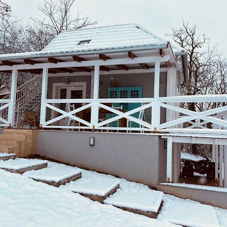 Dandelion "Zsalya" Vendeghaz Villa Kisapati Exterior photo