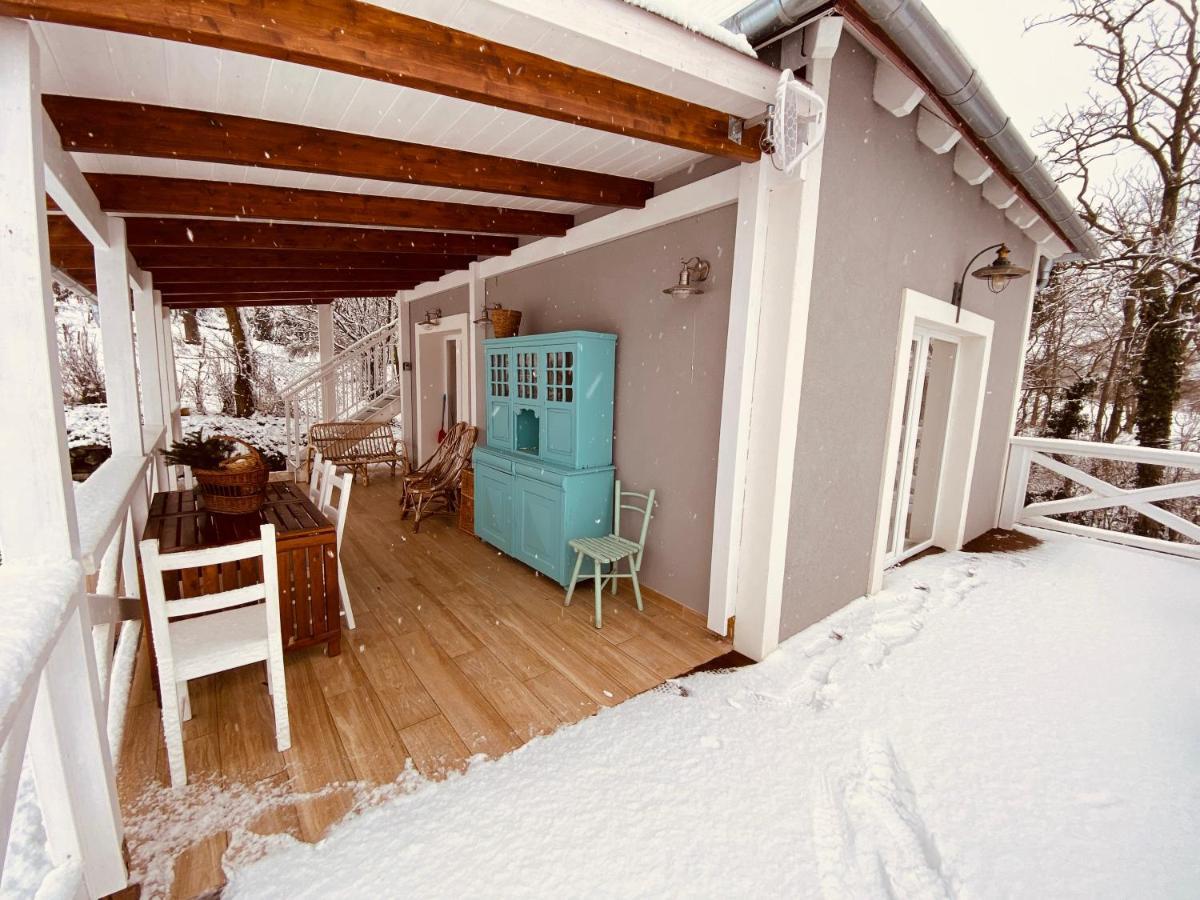 Dandelion "Zsalya" Vendeghaz Villa Kisapati Exterior photo